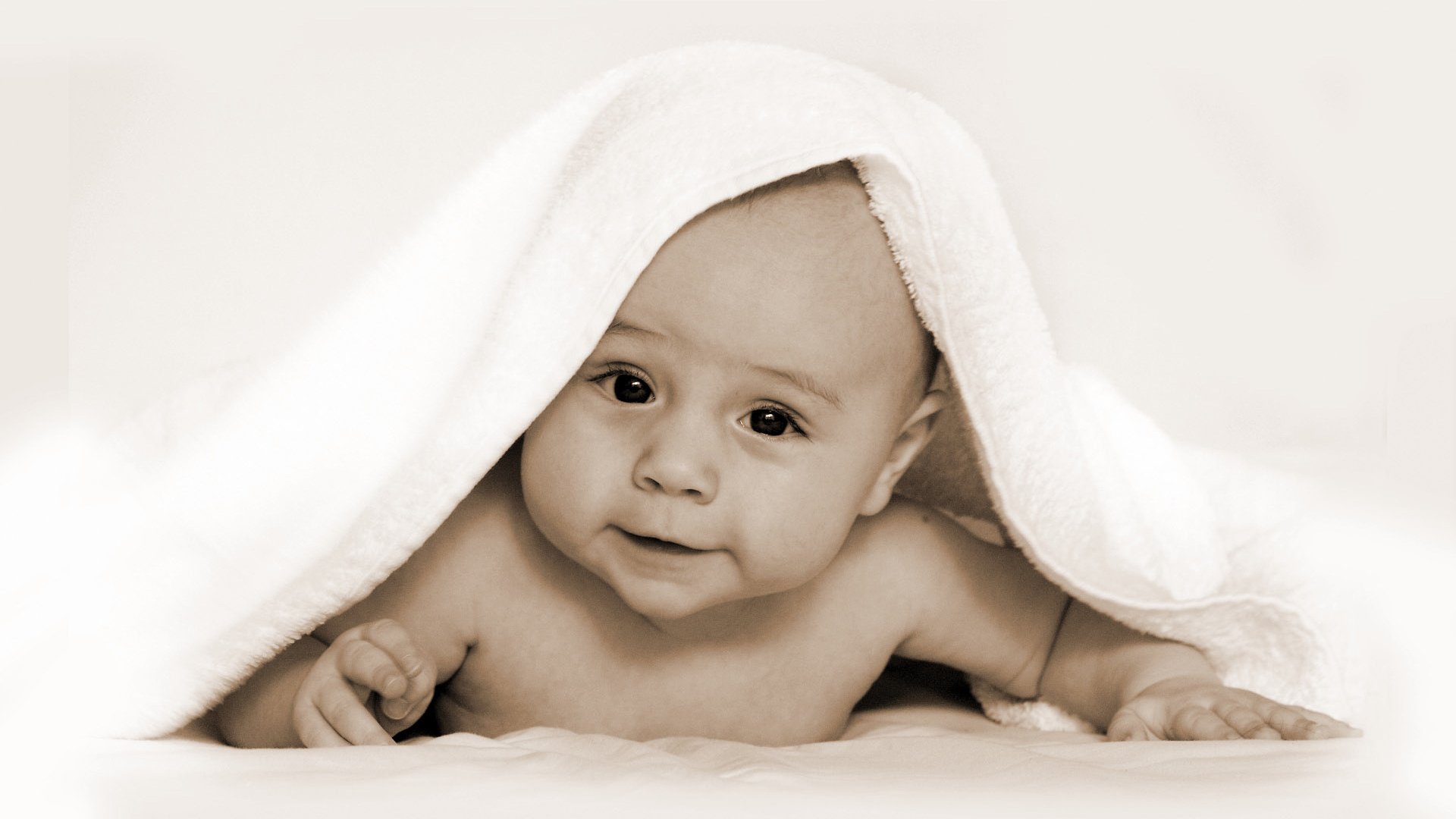 供卵代怀试管婴儿成功率90%